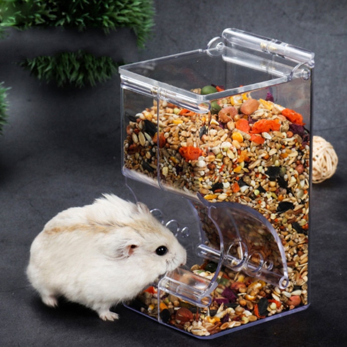 Hot Acrylic Hamster Food Feeder