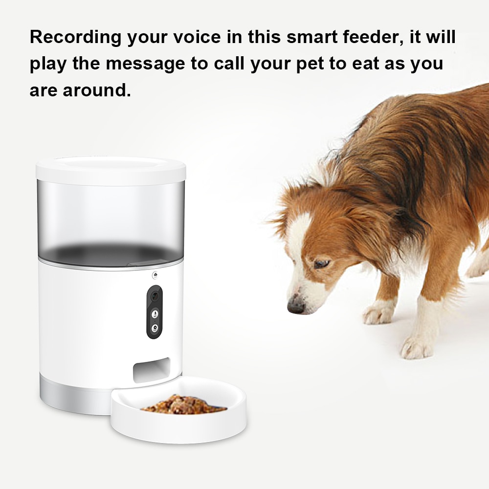 4L Auto Pet Feeder