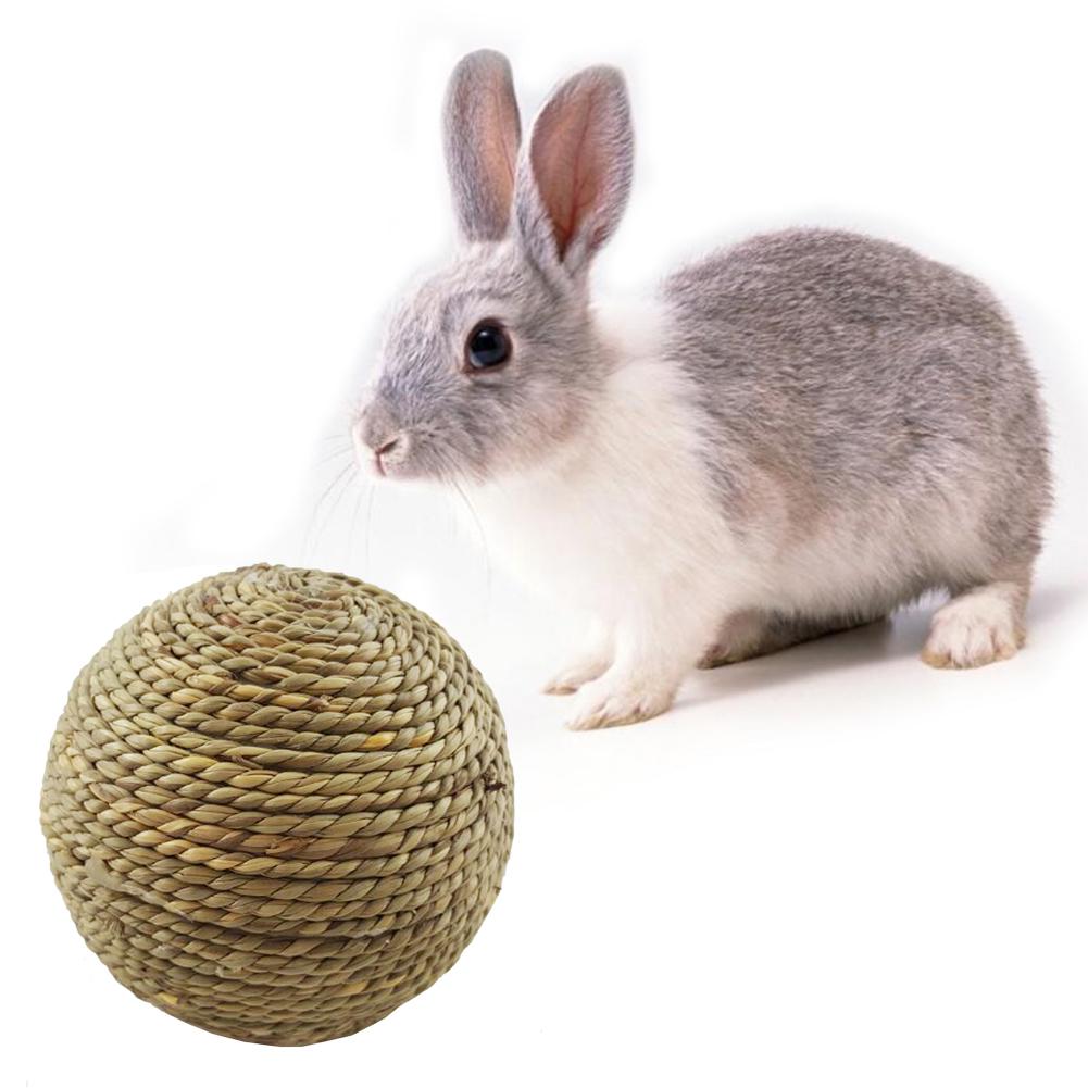 Rabbit Small Pet Chewing Toy