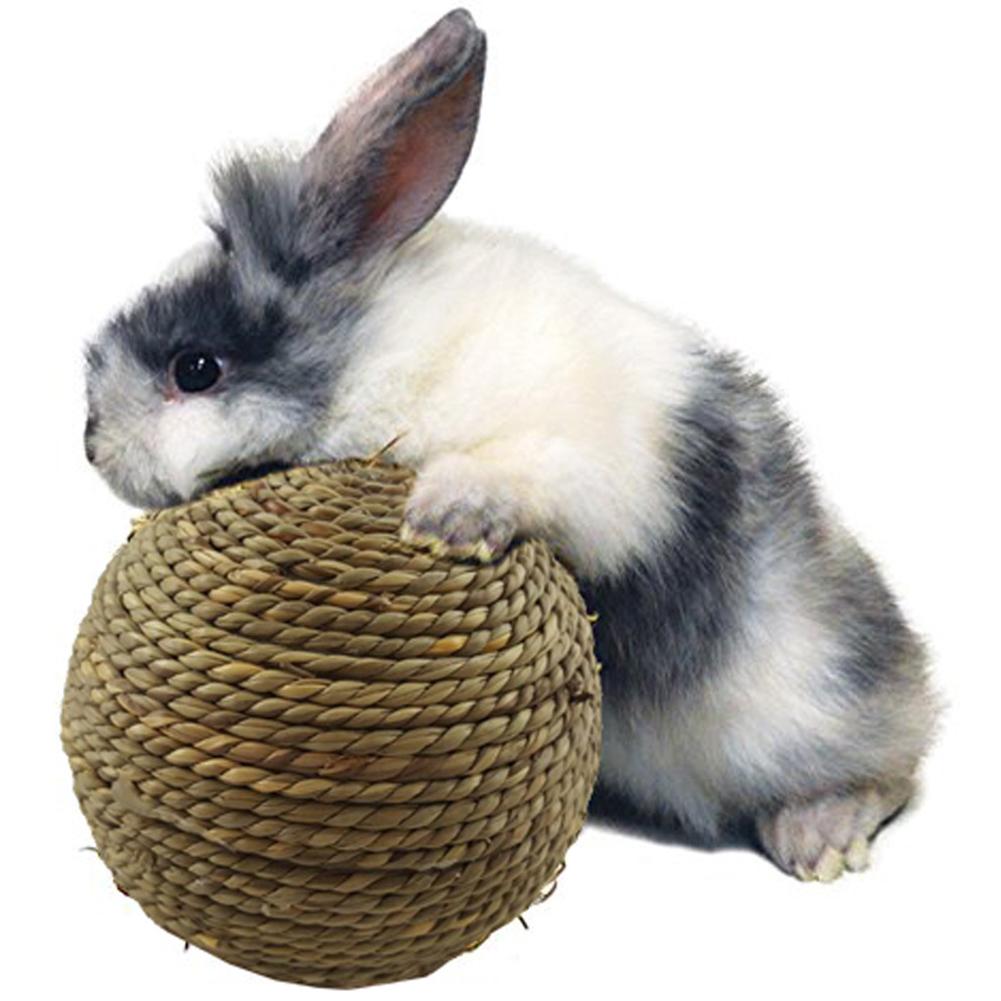 Rabbit Small Pet Chewing Toy