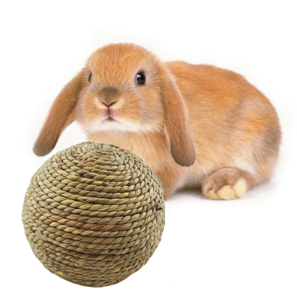 Rabbit Small Pet Chewing Toy