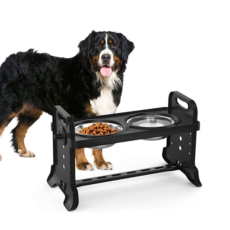 Anti-Slip Elevated Double Dog Bowls