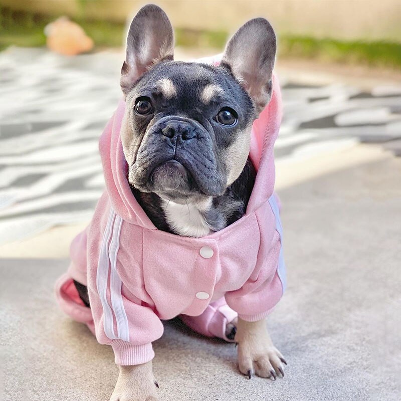 Pet Clothes French Bulldog Puppy Dog