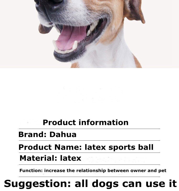 Popular dog toys latex Rugby tennis dog bite voice ball pet