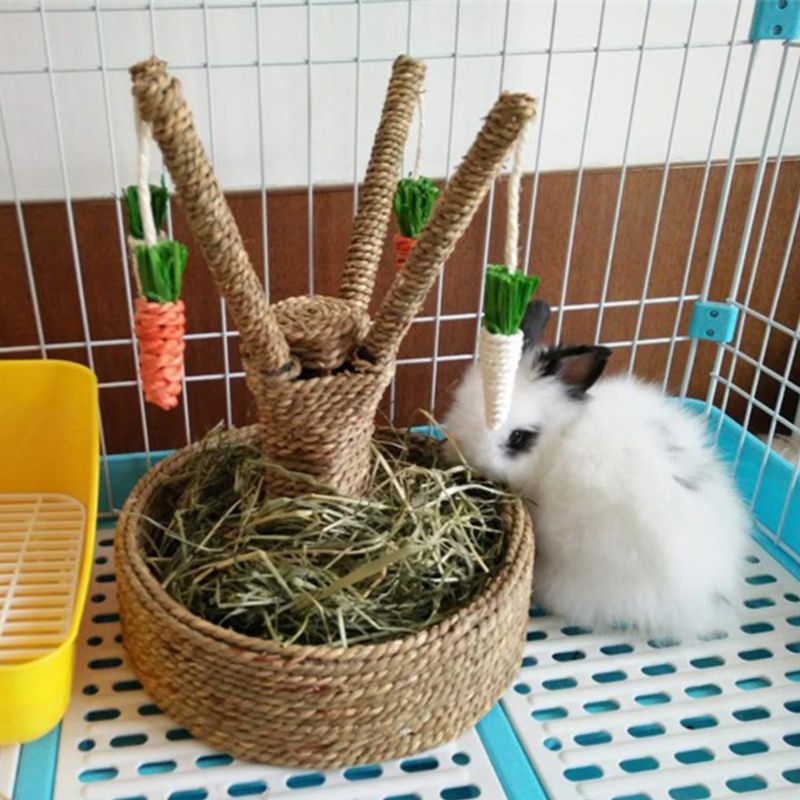 Small Animal Activity Rabbit Toy